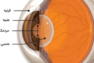 قرنیه چیست و چرا اهمیت دارد