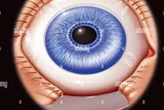 عمل پیرچشمی