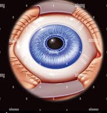 عمل پیرچشمی