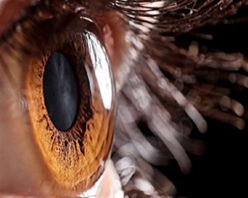 نکات مهم استفاده محصولات آرایشی و سلامت چشم ها