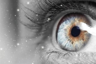 مگس پران چشم 