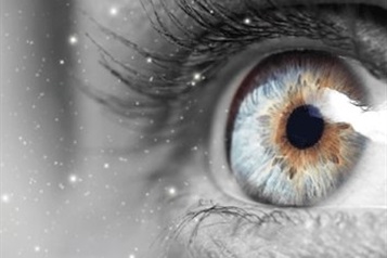 مگس پران چشم 