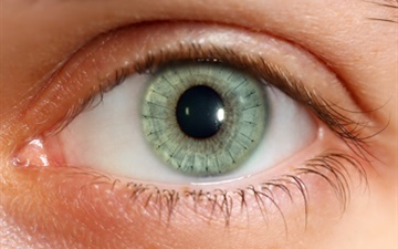 Corneal Transplantation Surgery