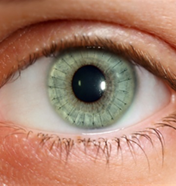 Corneal Transplantation Surgery